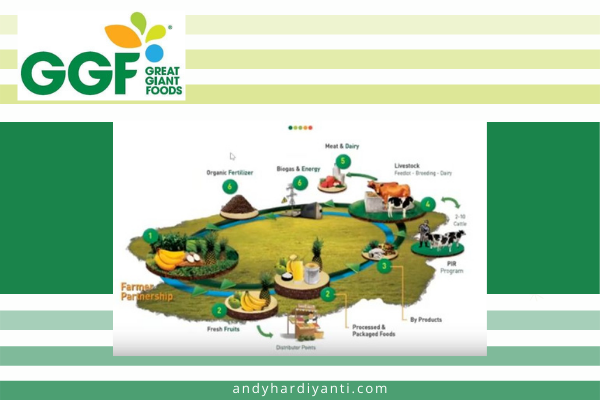 great giant foods