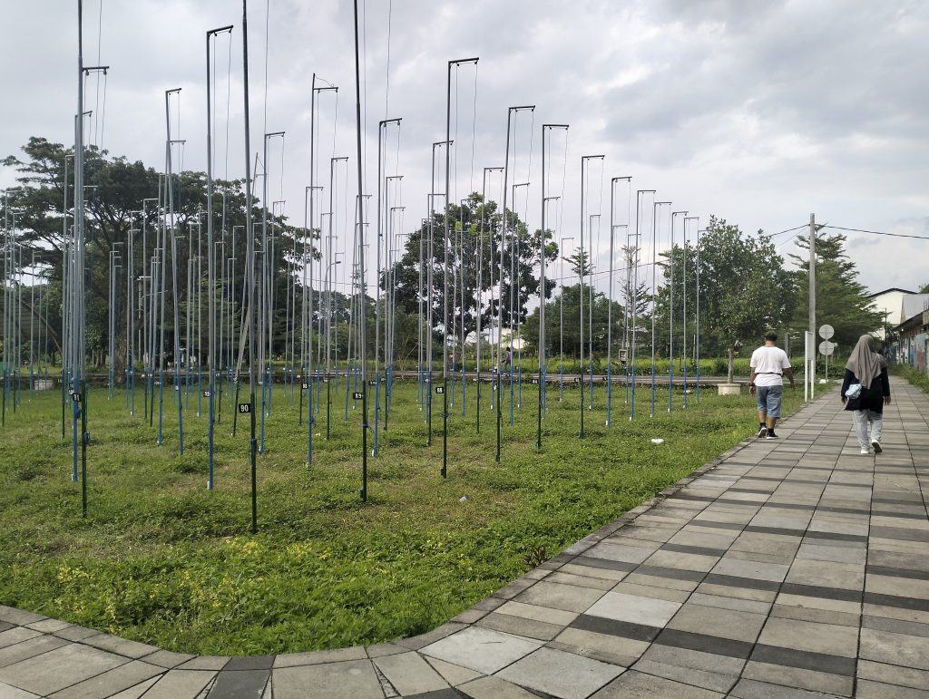 festival burung