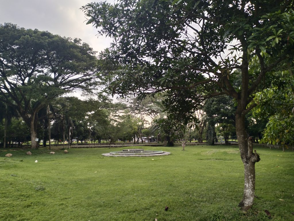 taman yang hijau