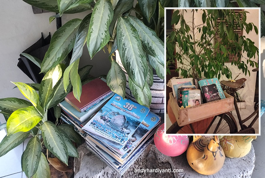 koleksi buku diva