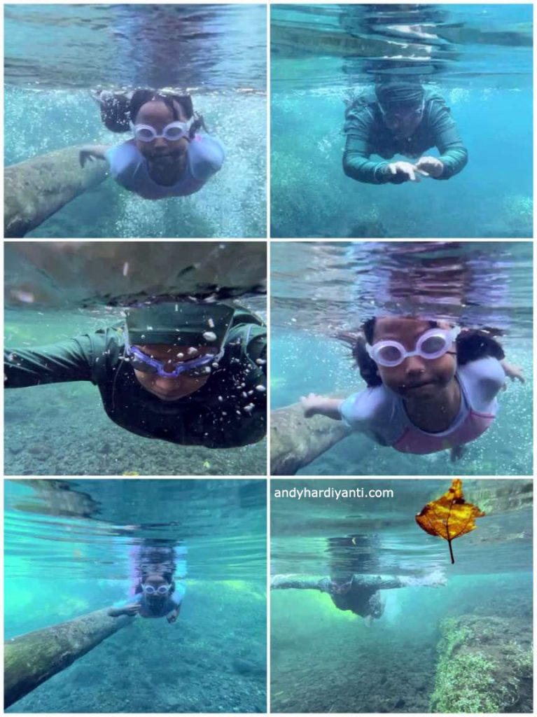 Berenang di kolam
