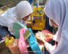 lapak lyla