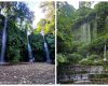 Pemandangan air terjun aik berik